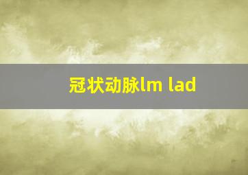 冠状动脉lm lad